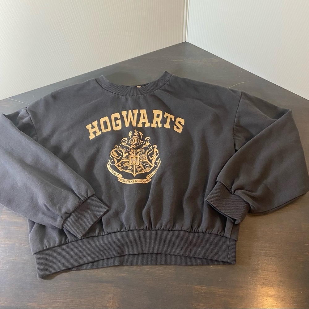 Harry Potter x H&M Hogwarts Cropped Sweatshirt Youth 8–10